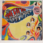 The American Revolution - The American Revolution