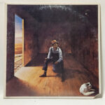 Don McLean - Homeless Brother