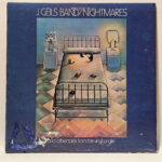The J. Geils Band - Nightmares ...And Other Tales From The Vinyl Jungle